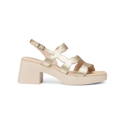 Wonders für Damen. D-1020_5432_7285 Hura Sandalen aus goldenem Leder (39), 3 bis 5 cm, Schnalle, Lässig Wonders für Damen. D-1020_5432_7285 Hura Sandalen aus goldenem Leder (39), 3 bis 5 cm, Schnalle, Lässig