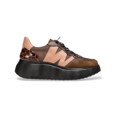 Wonders für Damen. A-3631_941_12050 Roma 31 Sneakers Braun (40), Wohnung, Schnürsenkel, Lässig Wonders für Damen. A-3631_941_12050 Roma 31 Sneakers Braun (40), Wohnung, Schnürsenkel, Lässig
