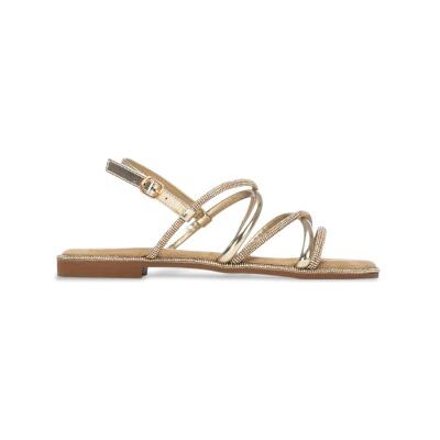 Xti für Damen. 14510602-ORO Sandalen 145106 gold (41), Wohnung, Schnalle, Lässig, Party, Sportlich Xti für Damen. 14510602-ORO Sandalen 145106 gold (41), Wohnung, Schnalle, Lässig, Party, Sportlich