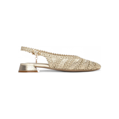 Xti für Damen. 14527101-ORO Schuhe 145271 gold (41), 1 bis 3 cm, Schnalle, Lässig Xti für Damen. 14527101-ORO Schuhe 145271 gold (41), 1 bis 3 cm, Schnalle, Lässig