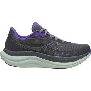 Saucony TRIUMPH 23 GTX Laufschuhe Damen SHADOW/ALOE 39 Saucony TRIUMPH 23 GTX Laufschuhe Damen SHADOW/ALOE 39