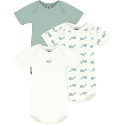 Petit Bateau 3er-Pack Bodys kurzarm Wale natur gruen Petit Bateau 3er-Pack Bodys kurzarm Wale natur gruen