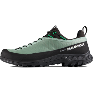 Mammut Wasserdichter Zustiegsschuh Alnasca IV Low GTX Men Grau 45 1/3 Mammut Wasserdichter Zustiegsschuh Alnasca IV Low GTX Men Grau 45 1/3