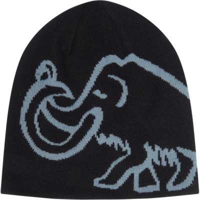 Mammut Wendebeanie Logo Beanie Reversible Schwarz one size Mammut Wendebeanie Logo Beanie Reversible Schwarz one size