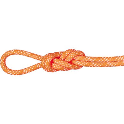 Mammut Langlebiges Kletterseil für die Halle 10.1 Gym Station Classic Rope 200m Orange 200 m Mammut Langlebiges Kletterseil für die Halle 10.1 Gym Station Classic Rope 200m Orange 200 m