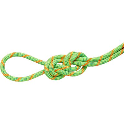 Mammut Doppelseil für Klettern und Bergsteigen 8.0 Alpine Dry Rope 30m Miscellaneous 30 m Mammut Doppelseil für Klettern und Bergsteigen 8.0 Alpine Dry Rope 30m Miscellaneous 30 m