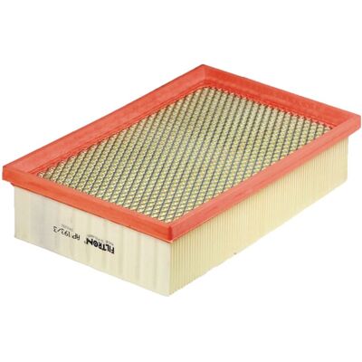 Filtron AP 193/3 - Luftfilter für Jaguar XK Filtron AP 193/3 - Luftfilter für Jaguar XK
