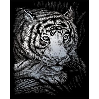 Pracht Kratzbilder Weisser Tiger Pracht Kratzbilder Weisser Tiger