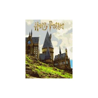 Ideyka Malen nach Zahlen - Harry Potter, Landschaft Ideyka Malen nach Zahlen - Harry Potter, Landschaft