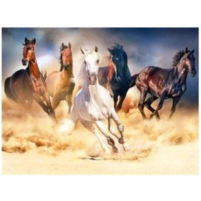 Magni Diamond Painting Galoppierende Pferde Magni Diamond Painting Galoppierende Pferde