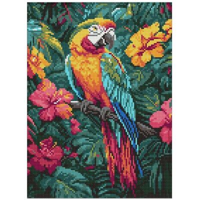 Ideyka Diamond Painting Tropischer Vogel 30 x 40 mit Rahmen Ideyka Diamond Painting Tropischer Vogel 30 x 40 mit Rahmen