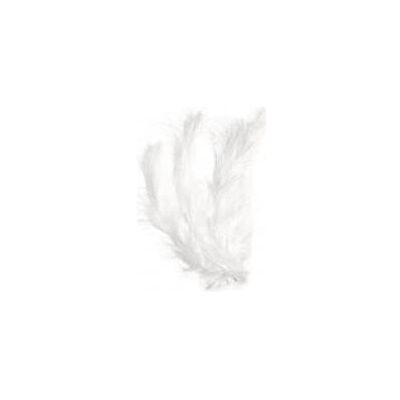 Rayher Flauschfeder, weiss, 15 Stück Rayher Flauschfeder, weiss, 15 Stück