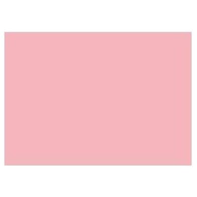 Heyda, Bastelpapier, Tonzeichenpapier 50 x 70 cm (B x H) 130g/m² rosa 25 (130 g/m², 25x) Heyda, Bastelpapier, Tonzeichenpapier 50 x 70 cm (B x H) 130g/m² rosa 25 (130 g/m², 25x)