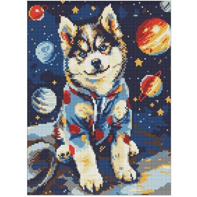 Ideyka Diamond Painting - Kosmischer Husky mit Rahmen Ideyka Diamond Painting - Kosmischer Husky mit Rahmen