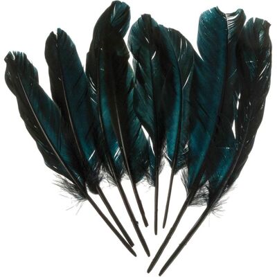 Rayher Gänsefeder, schwarz, 8 Stück Rayher Gänsefeder, schwarz, 8 Stück