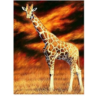 Pracht Diamond Painting 6037-40571 Giraffe 25 x 35 cm Pracht Diamond Painting 6037-40571 Giraffe 25 x 35 cm
