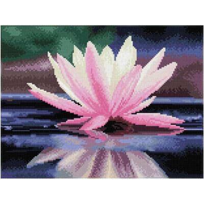 Diamond Dotz Diamond Painting Seerose Diamond Dotz Diamond Painting Seerose