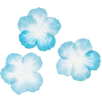 Colorations, Sticker, Washi Sticker - Blaue Blütenblätter, 80 Stück. (80 Sticker) Colorations, Sticker, Washi Sticker - Blaue Blütenblätter, 80 Stück. (80 Sticker)