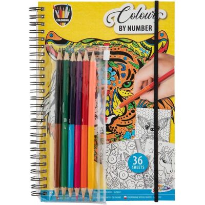Creative Craft Colour by number - Malbuch mit Buntstiften Creative Craft Colour by number - Malbuch mit Buntstiften