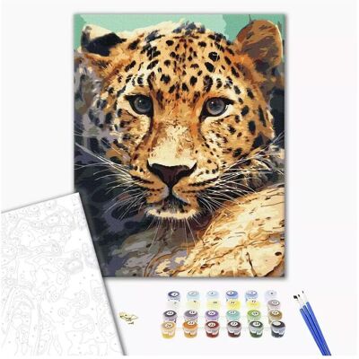 Norimpex Malen nach Zahlen BRUSHME, 40x50 cm, Leopardenportrt, 1 Stk. Norimpex Malen nach Zahlen BRUSHME, 40x50 cm, Leopardenportrt, 1 Stk.
