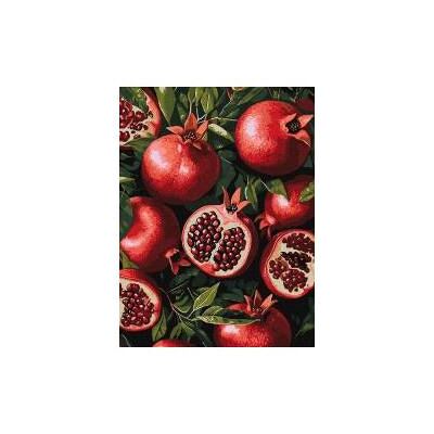 Ideyka Malen nach Zahlen - Granatapfel im 30x40cm-Format Ideyka Malen nach Zahlen - Granatapfel im 30x40cm-Format