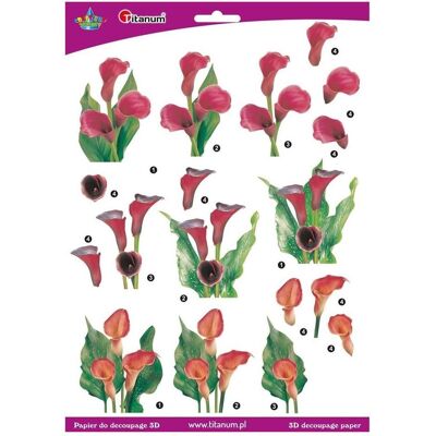 Titanum, Bastelpapier, Decoupage-Papier 3D-Blumen-Callas-Blatt Titanum, Bastelpapier, Decoupage-Papier 3D-Blumen-Callas-Blatt