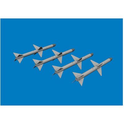 Eduard AIM-7M PRINT Eduard AIM-7M PRINT
