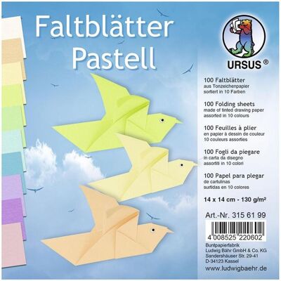 Ludwig Bähr Ursus Faltbares Pastell-Zeichenpapier - Zeichenpapier Ludwig Bähr Ursus Faltbares Pastell-Zeichenpapier - Zeichenpapier