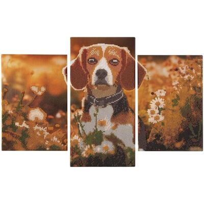 Grafix Diamantmalerei-Triptychon-Set - Hund Grafix Diamantmalerei-Triptychon-Set - Hund