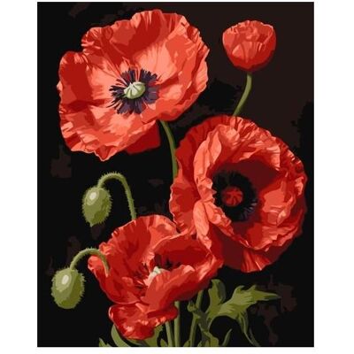 Maksik Malen nach Zahlen - Rote Mohnblumen 40x50cm Maksik Malen nach Zahlen - Rote Mohnblumen 40x50cm