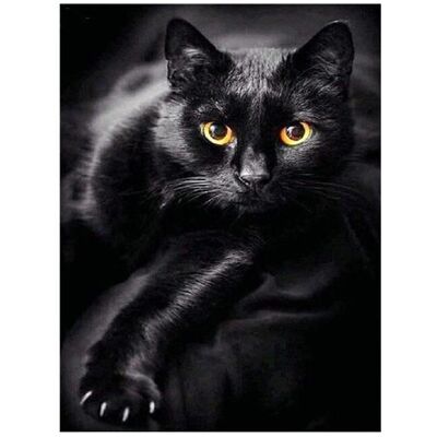 Pracht Diamond Painting 6037-40801 Schwarze Katze 25 x 35 cm Pracht Diamond Painting 6037-40801 Schwarze Katze 25 x 35 cm