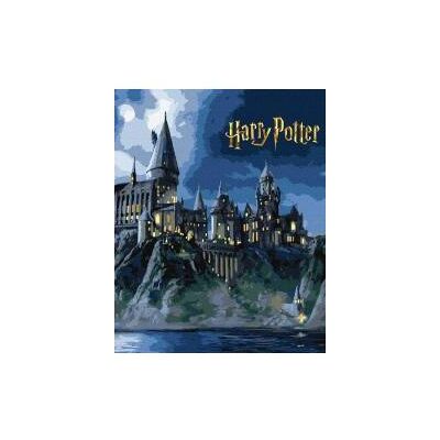 Ideyka Malen nach Zahlen - Harry Potter, Hogwarts bei Nacht Ideyka Malen nach Zahlen - Harry Potter, Hogwarts bei Nacht