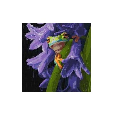 Ideyka Malen nach Zahlen - Frosch im Regen 40x40cm Ideyka Malen nach Zahlen - Frosch im Regen 40x40cm