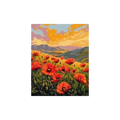 Ideyka Malen nach Zahlen - Stille zwischen den Mohnblumen 40x50cm Ideyka Malen nach Zahlen - Stille zwischen den Mohnblumen 40x50cm