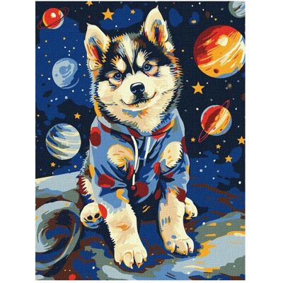 Ideyka Malen nach Zahlen - Space Husky Ideyka Malen nach Zahlen - Space Husky
