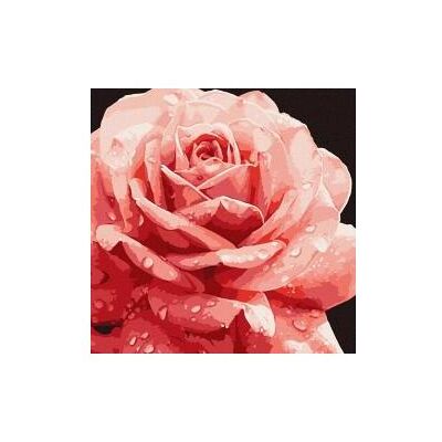 Ideyka Malen nach Zahlen - Perfekte Rose 40x40cm Ideyka Malen nach Zahlen - Perfekte Rose 40x40cm