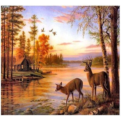 Norimpex 5D-Diamantmosaik - Hirsch 40x30cm Norimpex 5D-Diamantmosaik - Hirsch 40x30cm