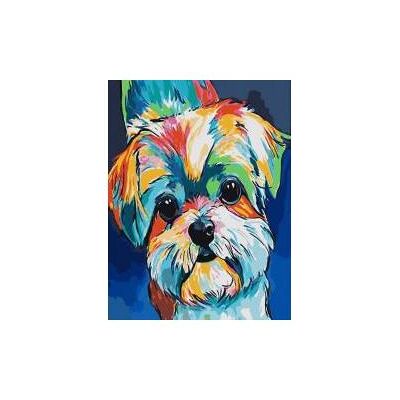 Koh-i-Noor Malen nach Zahlen 40x50cm Regenbogenhund Koh-i-Noor Malen nach Zahlen 40x50cm Regenbogenhund