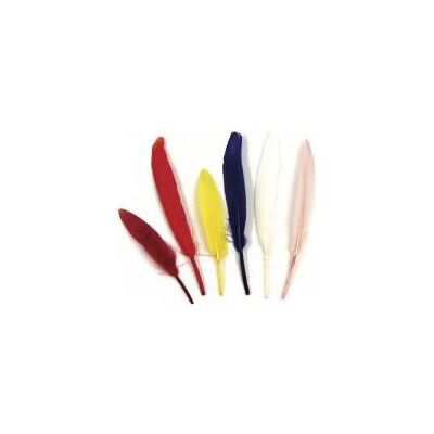 Rayher Indianerfeder, gemischt, 24 Stück Rayher Indianerfeder, gemischt, 24 Stück