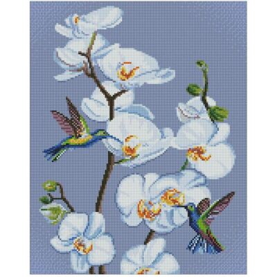 Ideyka Diamond Painting - Blühende Orchideen mit Rahmen 40 x 50 cm Ideyka Diamond Painting - Blühende Orchideen mit Rahmen 40 x 50 cm