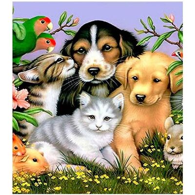 Norimpex 5D-Diamantmosaik - Tiere 40x30cm Norimpex 5D-Diamantmosaik - Tiere 40x30cm