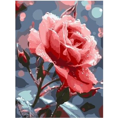 Qbee Malen nach Zahlen - Rose auf Rose 30x40cm Qbee Malen nach Zahlen - Rose auf Rose 30x40cm