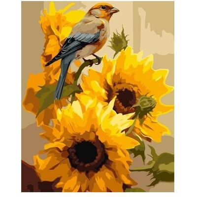 Maksik Malen nach Zahlen - Buchfink auf Nachtschatten 40x50cm Maksik Malen nach Zahlen - Buchfink auf Nachtschatten 40x50cm