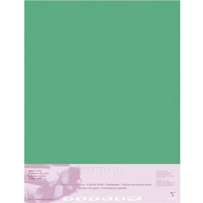 Clairefontaine - Pastelmat - Dunkelgrün - 70x100cm 360g - Pastelpapier Clairefontaine - Pastelmat - Dunkelgrün - 70x100cm 360g - Pastelpapier