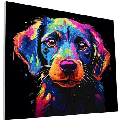 Planet Diamond art p lrred 30x40cm, hund Planet Diamond art p lrred 30x40cm, hund