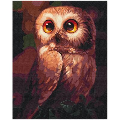Syma Picture Paint it! Painting by numbers Owl Syma Picture Paint it! Painting by numbers Owl