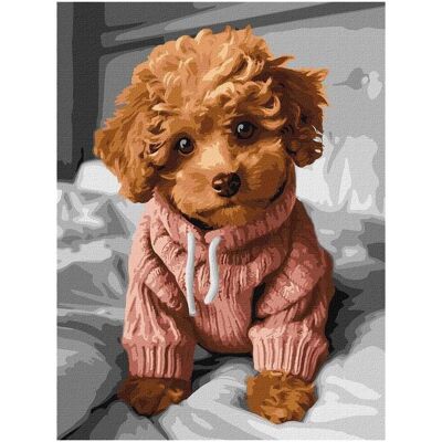 Ideyka Malen nach Zahlen - Magic Maltipoo 30x40cm Ideyka Malen nach Zahlen - Magic Maltipoo 30x40cm