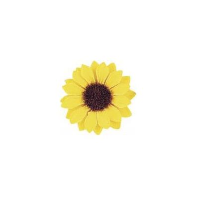 Rayher Sonnenblumenköpfe, 3, 5cm ø, 12 Stück Rayher Sonnenblumenköpfe, 3, 5cm ø, 12 Stück