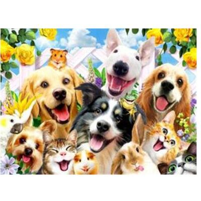 Pracht Diamond Painting Tierisches Selfie 25 x 35 cm Pracht Diamond Painting Tierisches Selfie 25 x 35 cm