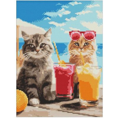 Ideyka Diamond Painting - Katzen im Urlaub 30 x 40 cm Ideyka Diamond Painting - Katzen im Urlaub 30 x 40 cm